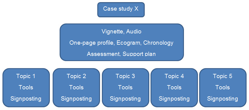 Image: Structure of the case study materials for Carers